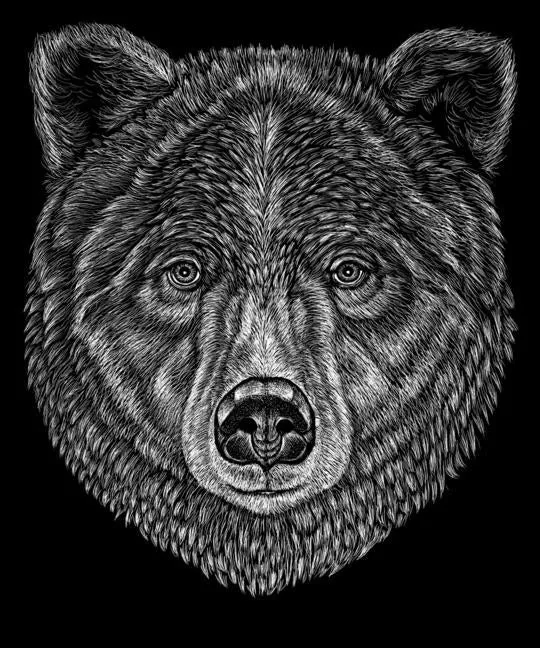 Black Bear T-Shirt